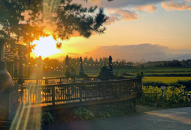 Ankeny Vineyard