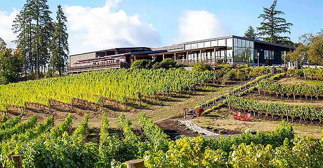 Elk Cove Vineyards